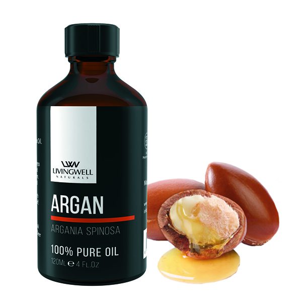 Argan Argania Spinosa