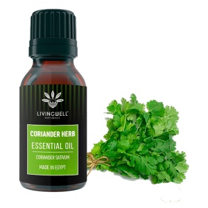 CORIANDER HERB (CORIANDER SATIVIM)