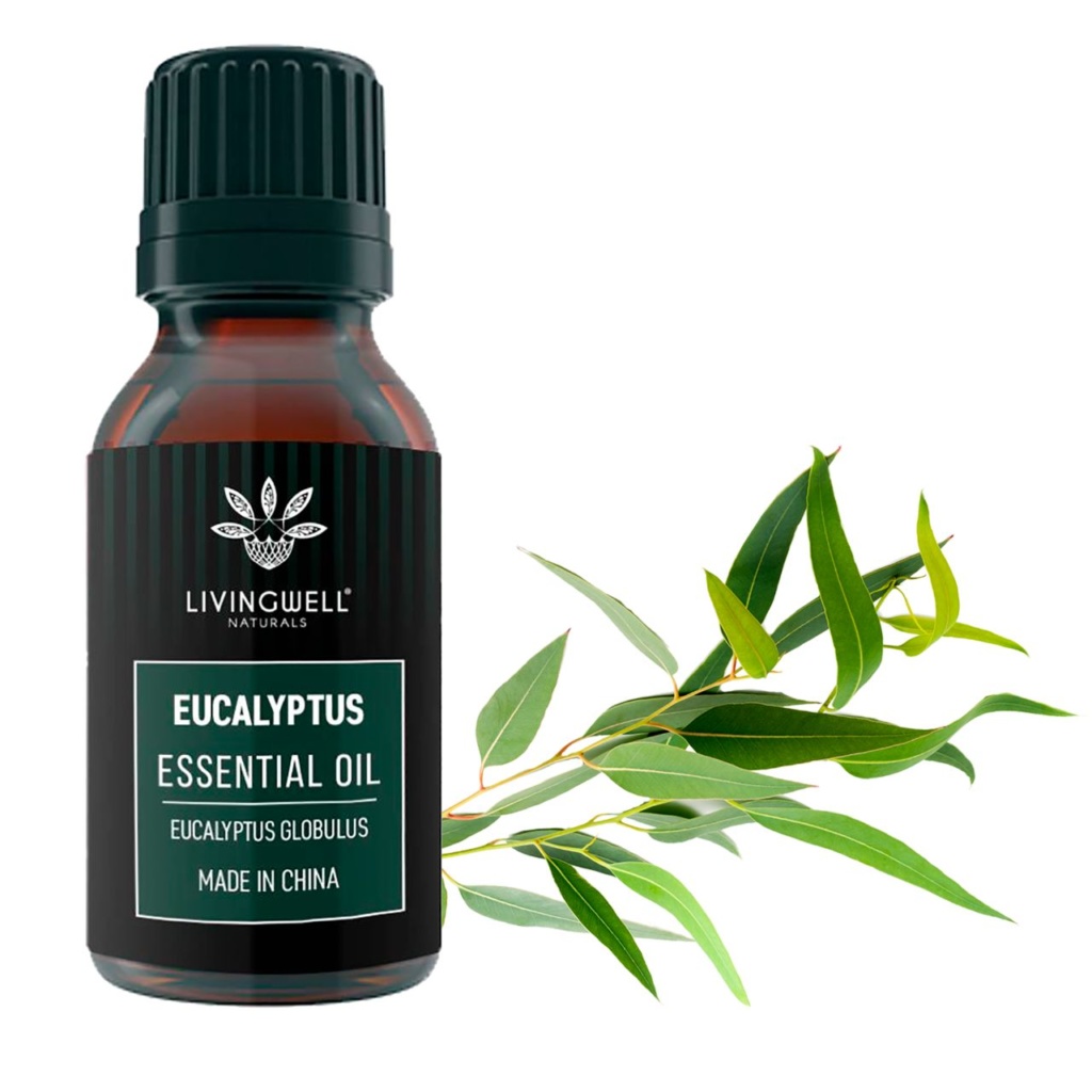 EUCALYPTUS (EUCALYPTUS GLOBULUS) – Livingwell Naturals