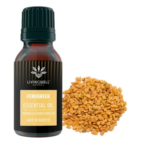 FENUGREEK (TRIGONELLA FOENUM GRAECUM)