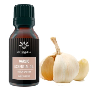 GARLIC (ALLIUM SATIVUM)