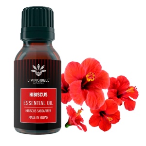 HIBISCUS (HIBISCUS SABDARIFFA)