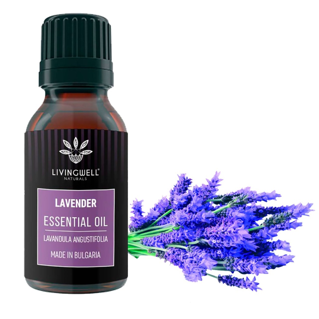 Lavender Lavandula Angustifolia Livingwell Naturals 3511
