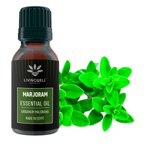 MARJORAM (ORIGANUM MAJORANA)