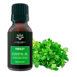PARSLEY (PETROSELINUM CRISPUM)