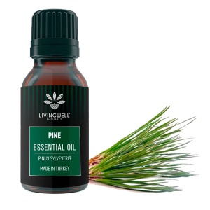 PINE (PINUS SYLVESTRIS)