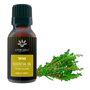THYME (THYMUS VULGARIS)