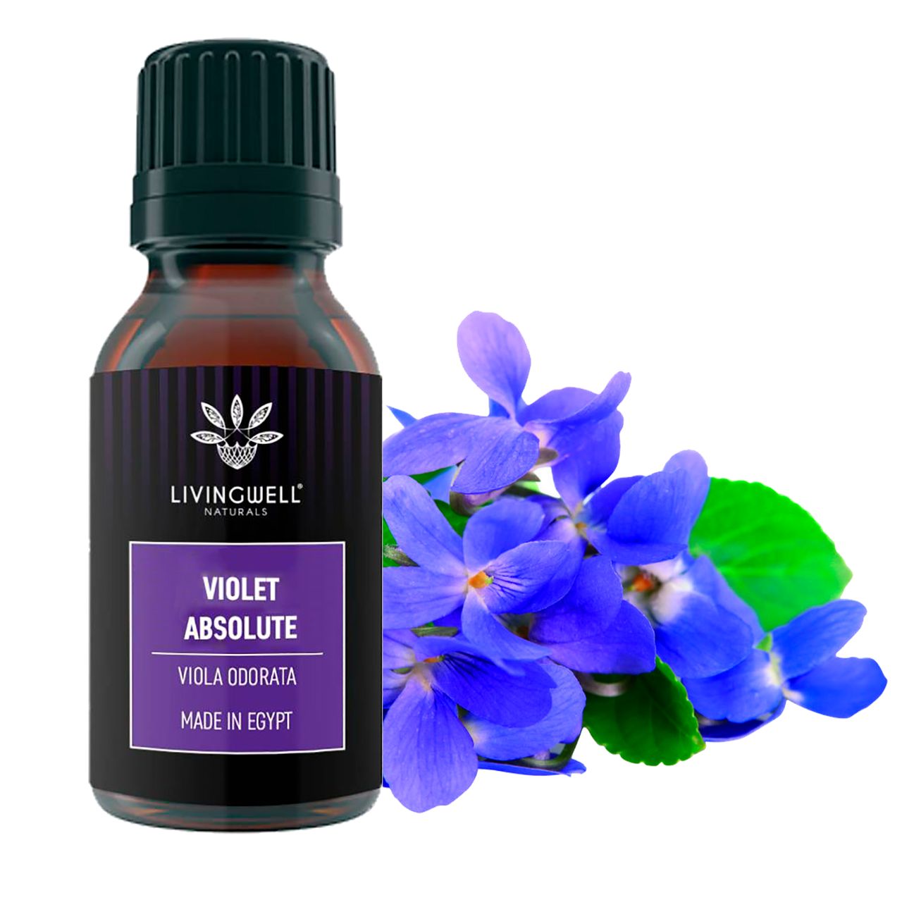 30ml (1oz) Violet Flower Absolute Essential Oil (Viola odorata) - 100% Pure  Undiluted Uncut
