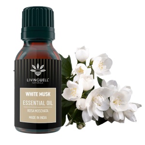 WHITE MUSK (ROSA MOSCHATA)