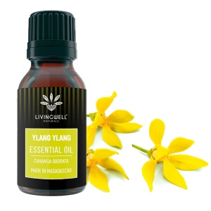 YLANG YLANG (CANANGA ODORATA)