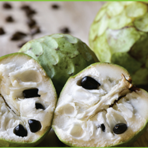 Custard Apple