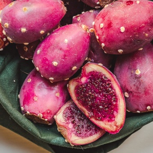 Prickly Pear
