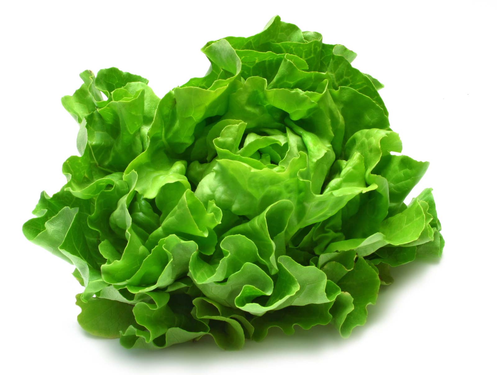 What Is Green Leaf Lettuce Good For