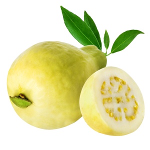 Guava